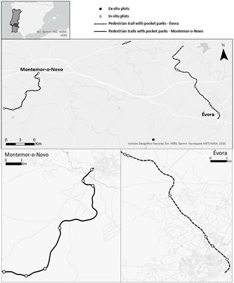 Sowing wildflower meadows in Mediterranean peri-urban green areas to promote grassland diversity